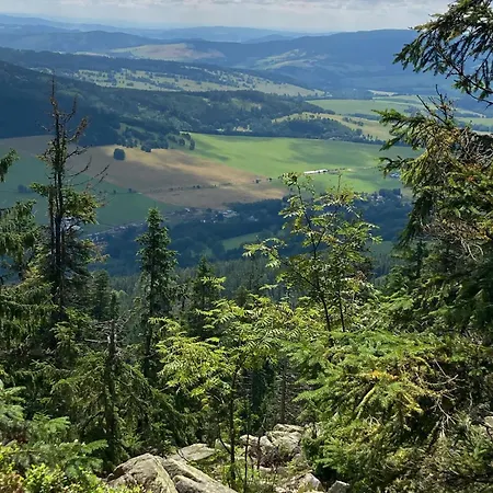 게스트하우스 Vegan House - Kamienny 미에드지레시