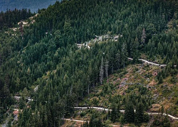 Vegan House - Kamienny Pensionat Międzylesie