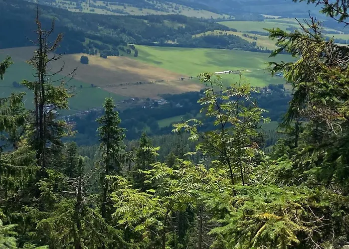 Pensionat Vegan House - Kamienny Międzylesie